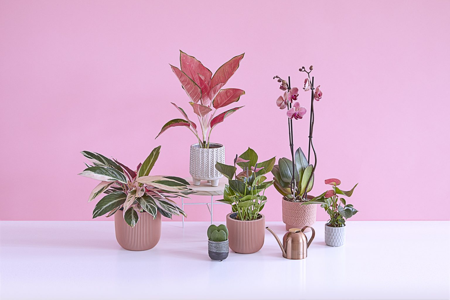 Gifting sustainably this Valentine’s Day, with Dobbies
