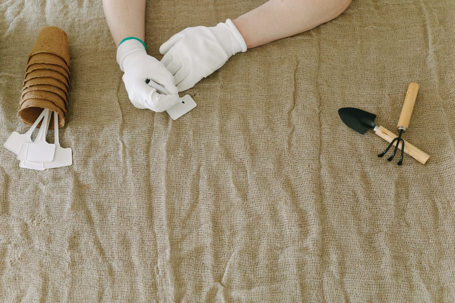 Environmental Remediation Services: Types & Importance