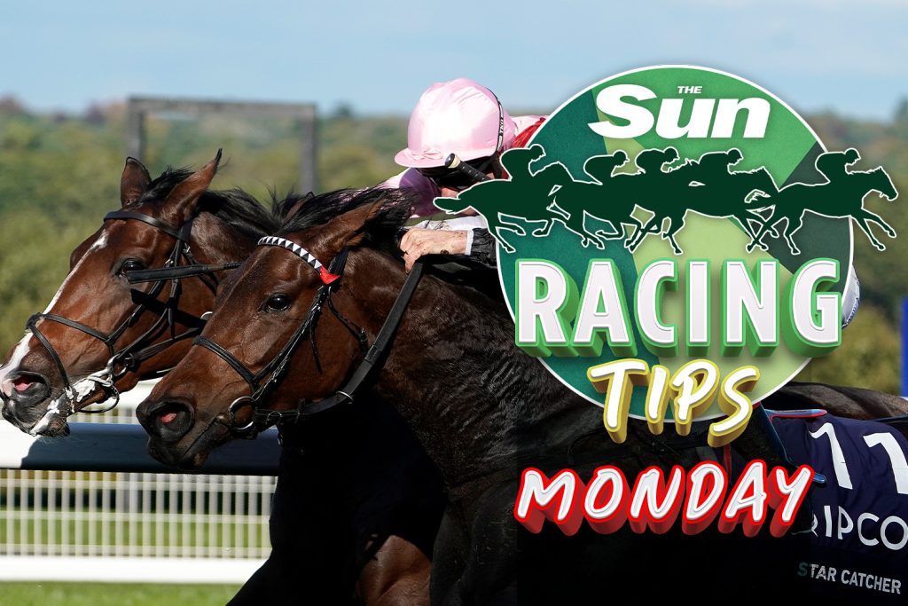 Horse Racing Suggestions: Templegate NAP might be thrown at William Haggas in his disabled debut Horse Racing Tips: Templegate NAP can be thrown at William Haggas in his disabled debut