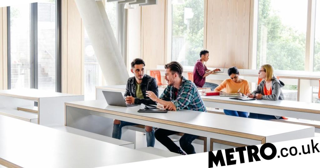 Rishi Sunak mulling curbs on abroad college students after immigration rise Rishi Sunak mulling curbs on overseas students after immigration rise