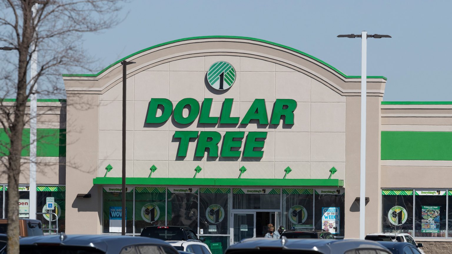 I'm a Dollar Tree superfan - my tips will make your apartment look expensive and fancy without hurting your wallet