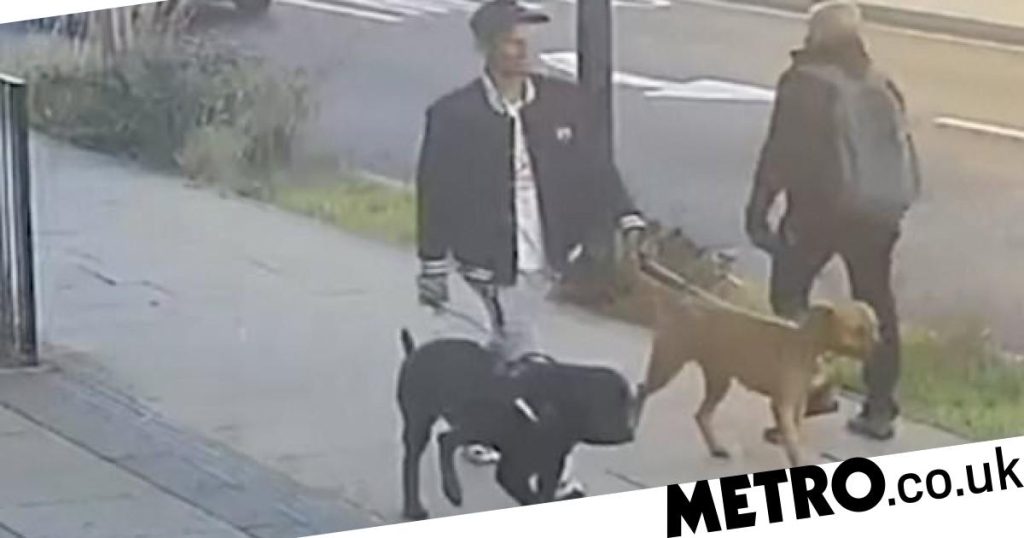 CCTV released after dog attack on 11-year-old girl CCTV released after dog attack left girl, 11, in hospital with broken bones