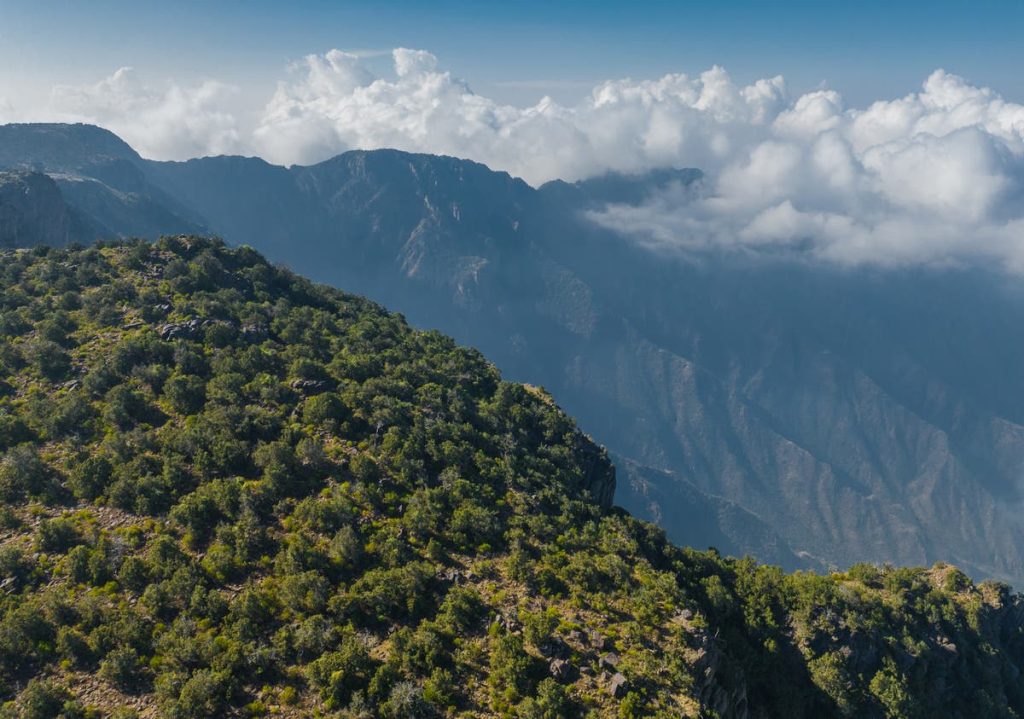 Saudi Arabia is home to hundreds of national parks, royal reserves and protected areas, in this series we look at some of the best