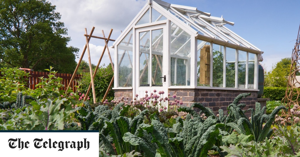 Gardeners who tell gardeners in ‘utterly bizarre” guidance to avoid glass greenhouses Beware of glass greenhouses, gardeners told in 'utterly bizarre' guidance