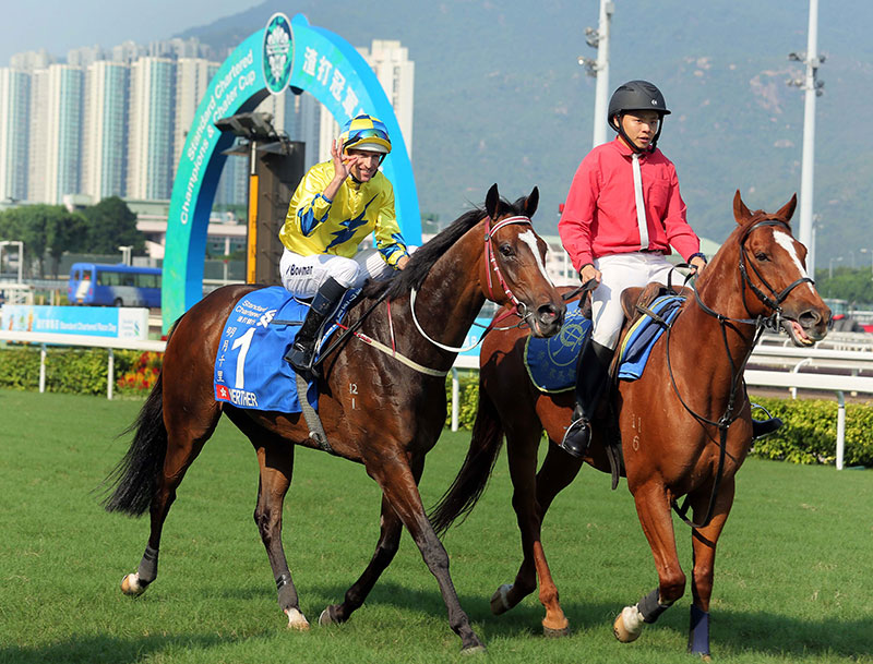 Royal Bomb set to blast dwelling for Fownes and Bowman Royal Bomb set to blast home for Fownes and Bowman