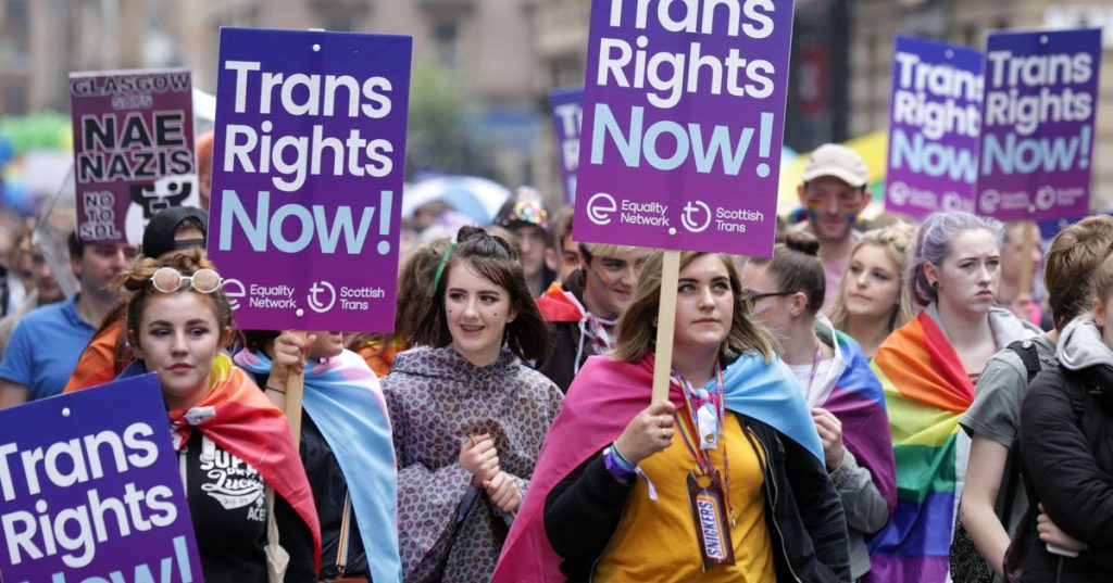 Trans People in Crisis by Gender Recognition Veto, MPs Warn Gender Recognition Veto Pulls Trans People Into Crisis 'They Did Not Ask For', MPs Warn