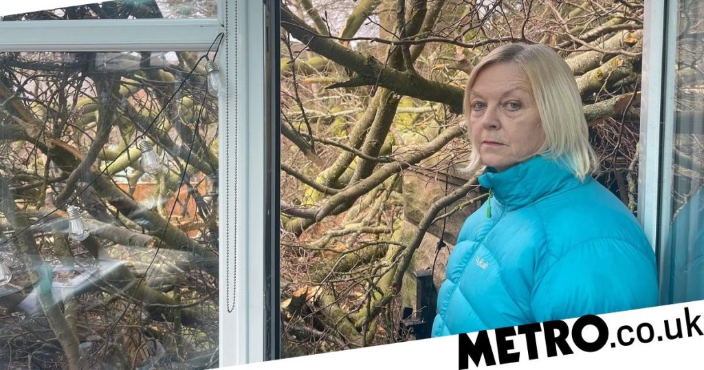 Matlock: Massive tree smashes into woman's home
