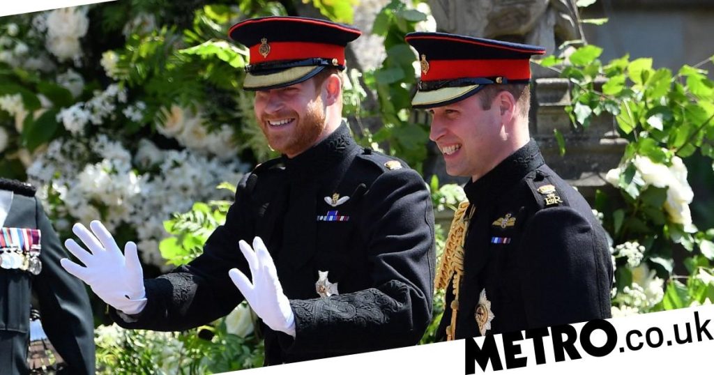 Prince Harry and his brother argued about whether to keep their beards for the wedding Prince Harry had row with brother on if to keep his beard for wedding