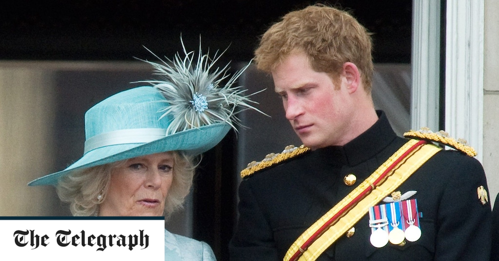 Prince Harry claims Queen Consort was a ‘dangerous’ woman because she needed to rehabilitate herself. Prince Harry claims Queen Consort was 'dangerous' because she needed to rehabilitate her image