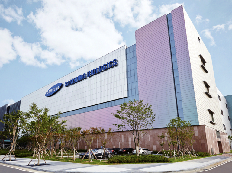 cell line development